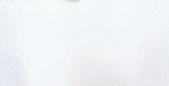 Alpine Snow SJ CQ 3CM