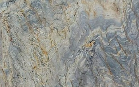 VAN GOGH