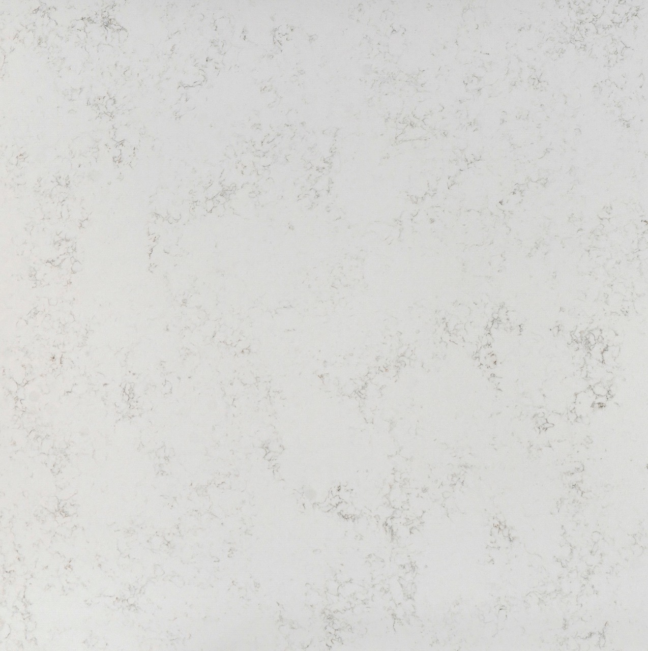 White Drift Quartz in White Color at Cosmos Granite and Marble
